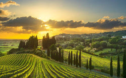 Wine down for Teachers: A teacher Appreciation Blending Class